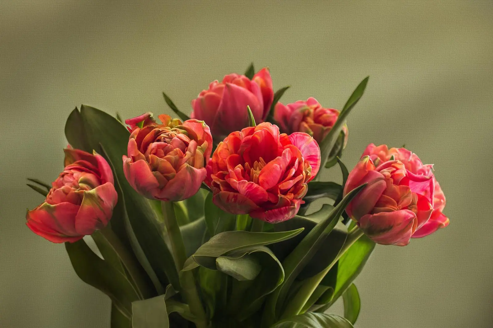 Ramo de tulipanes de diseño